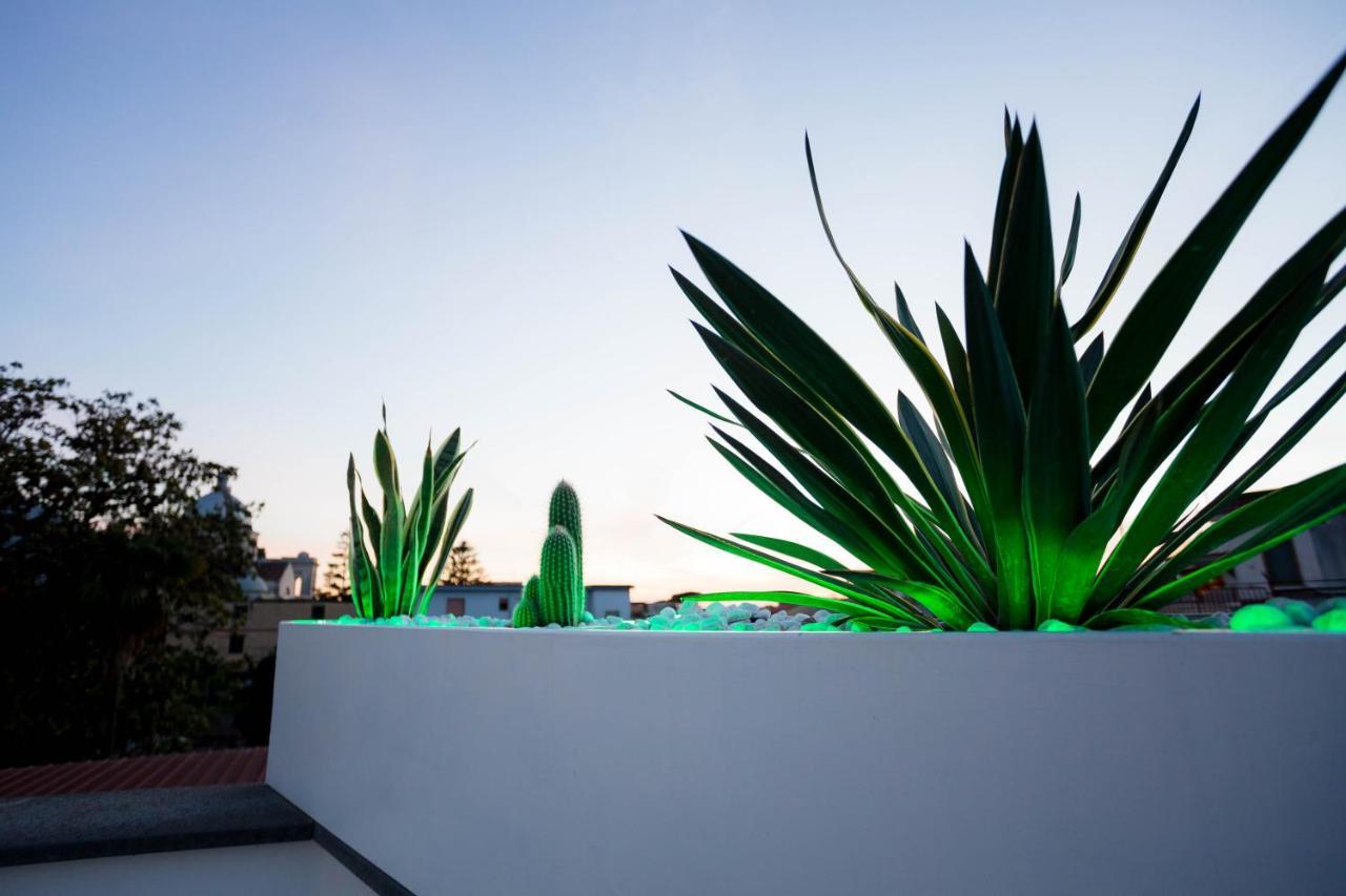 Palazzo De Gregorio Apartment Pompei Sant'Antonio Abate Ngoại thất bức ảnh